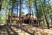 RedAwning Tahoe Tree House